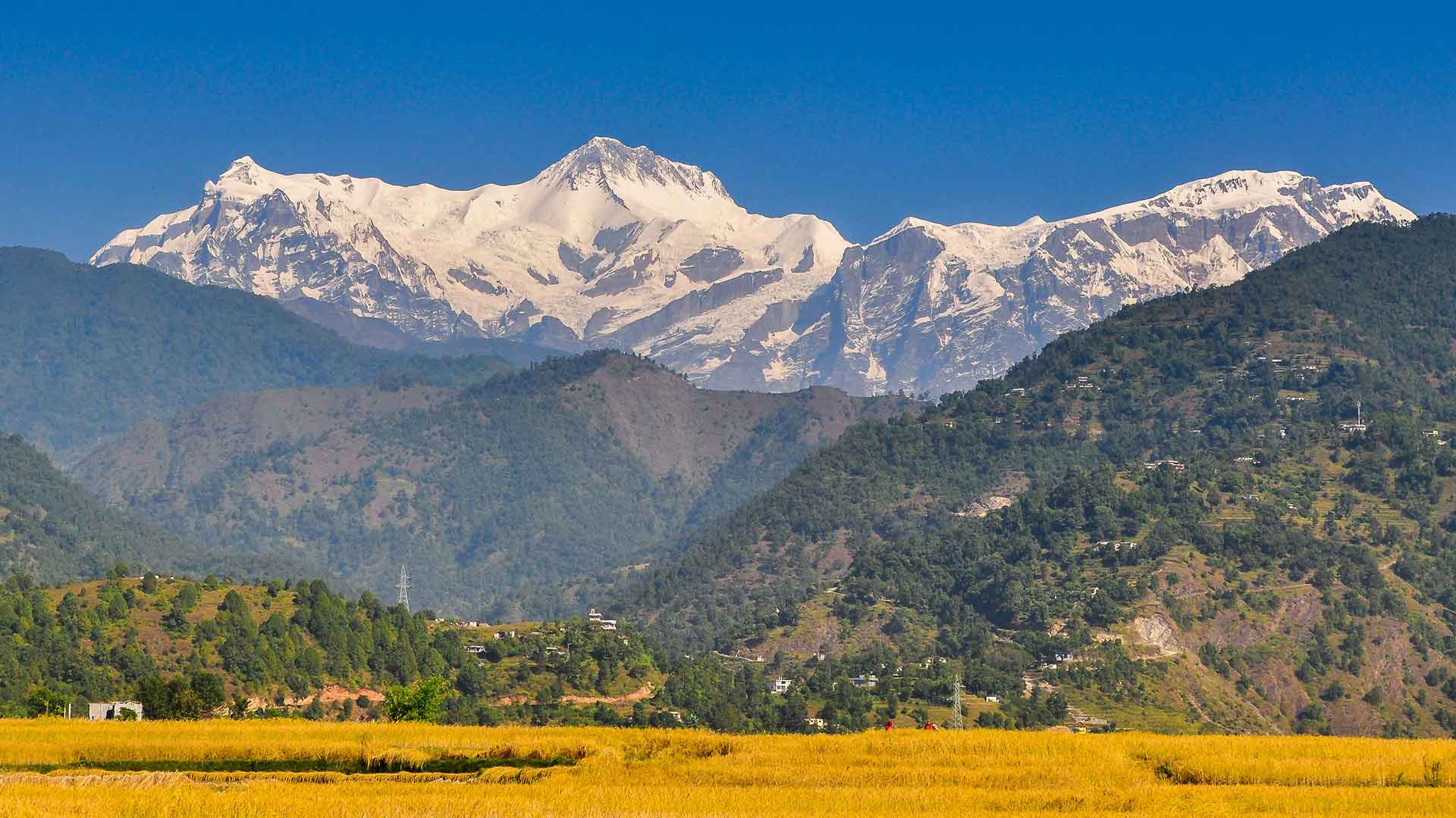 Hospitality in Pokhara: Where Nature Meets Warmth